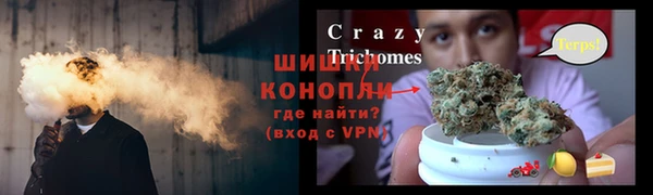 стафф Зеленокумск