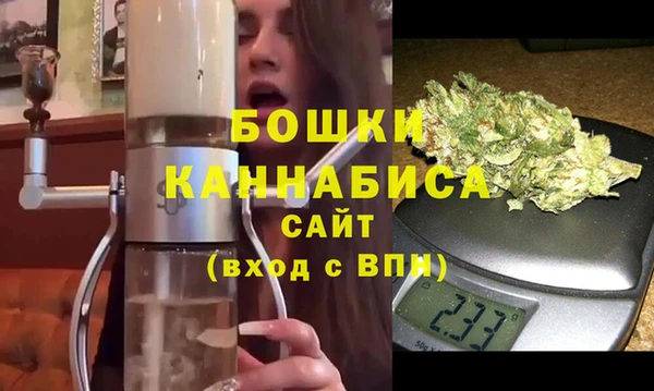 стаф Дмитриев