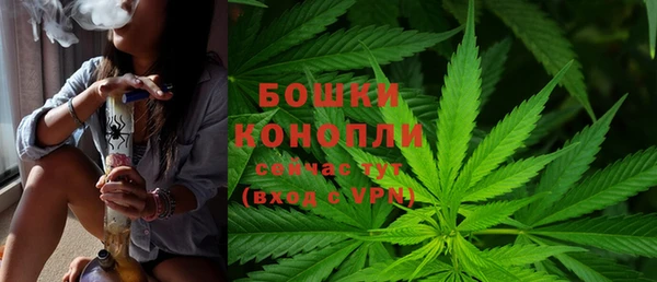 стаф Дмитриев