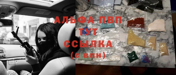 стаф Дмитриев