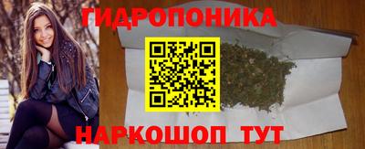 индика Ипатово