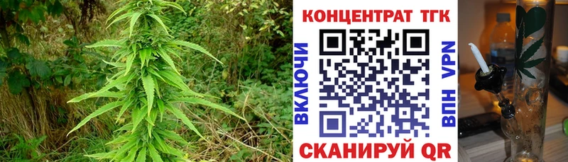 купить  цена  Кандалакша  Дистиллят ТГК концентрат 