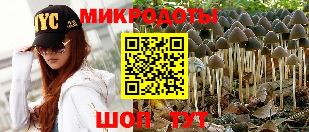 Галлюциногенные грибы ЛСД Кандалакша