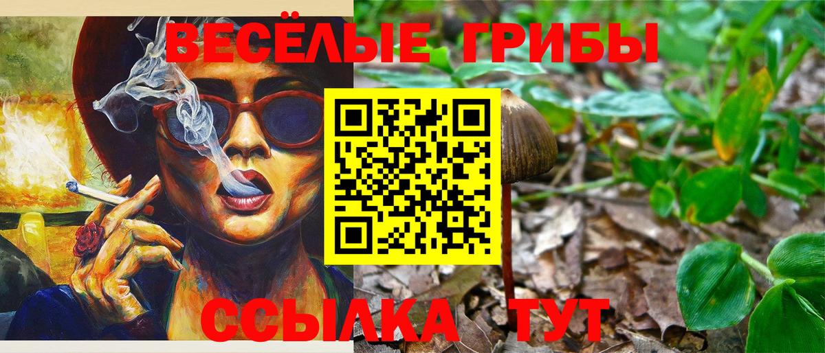 Галлюциногенные грибы Cubensis  Галлюциногенные грибы MAGIC MUSHROOMS  Вход с VPN  Кандалакша 